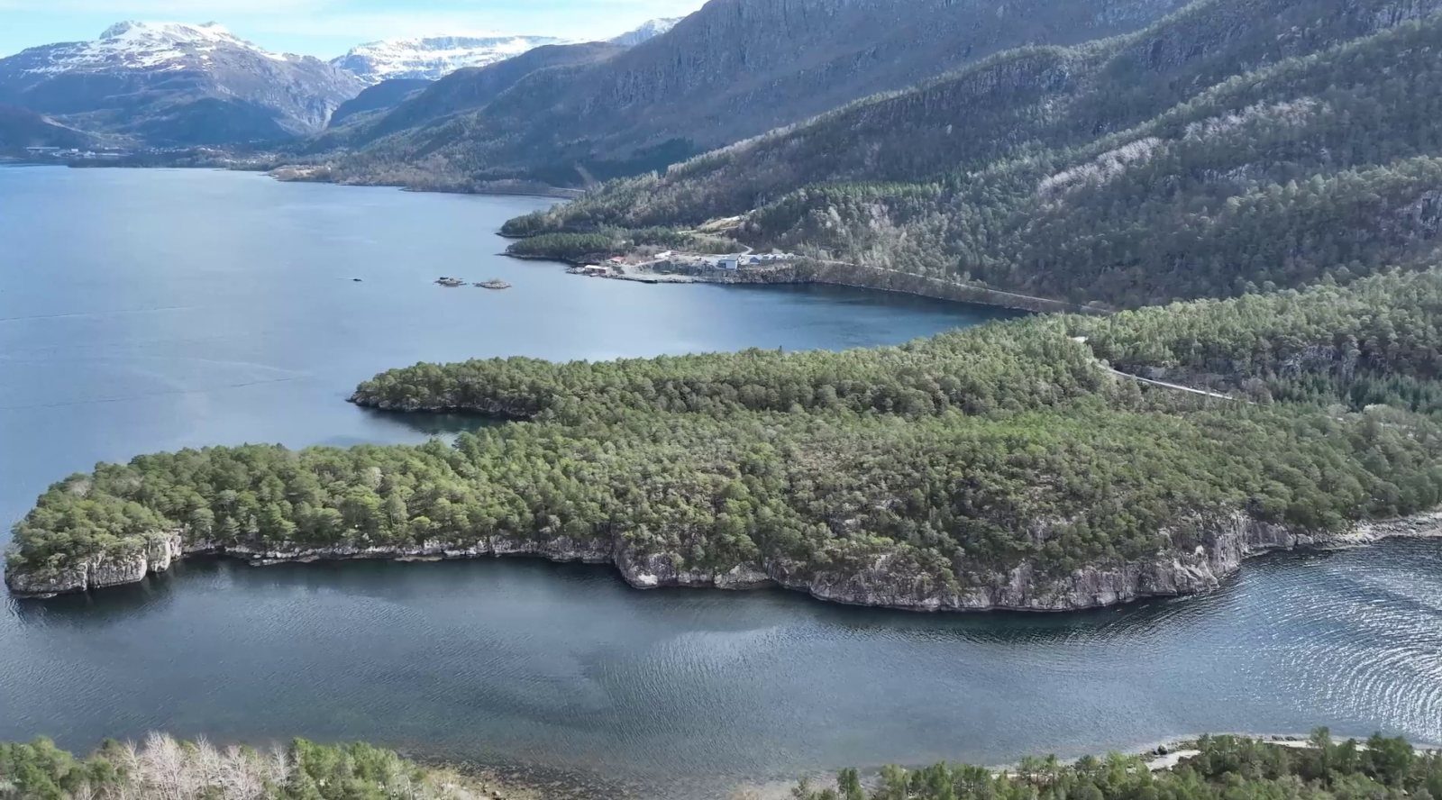 Forested headland on a Norwegian fjord before construction